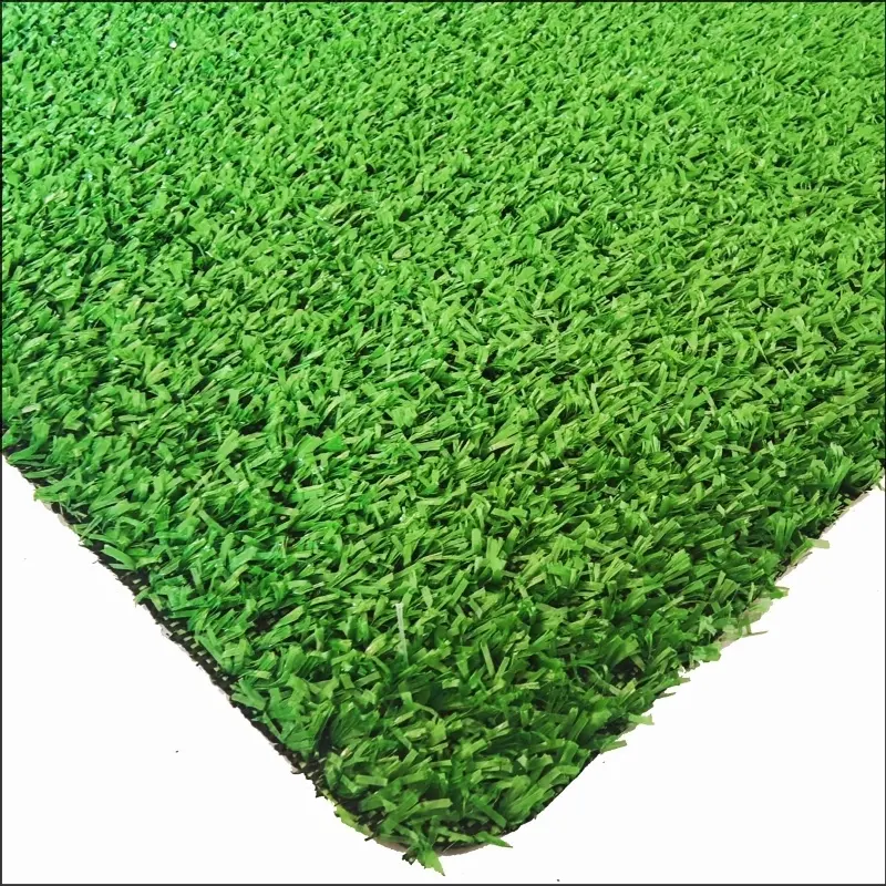 See More About Tapis Grass CG8
