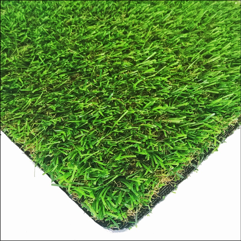 Herbe de jardin (GG20)