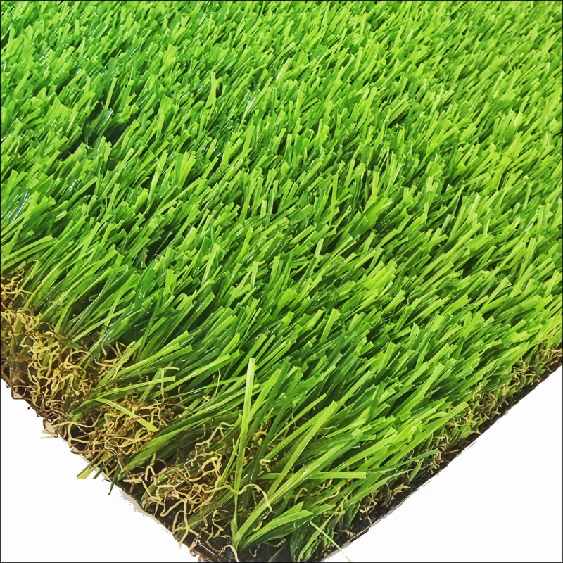 Herbe de jardin (GG45)