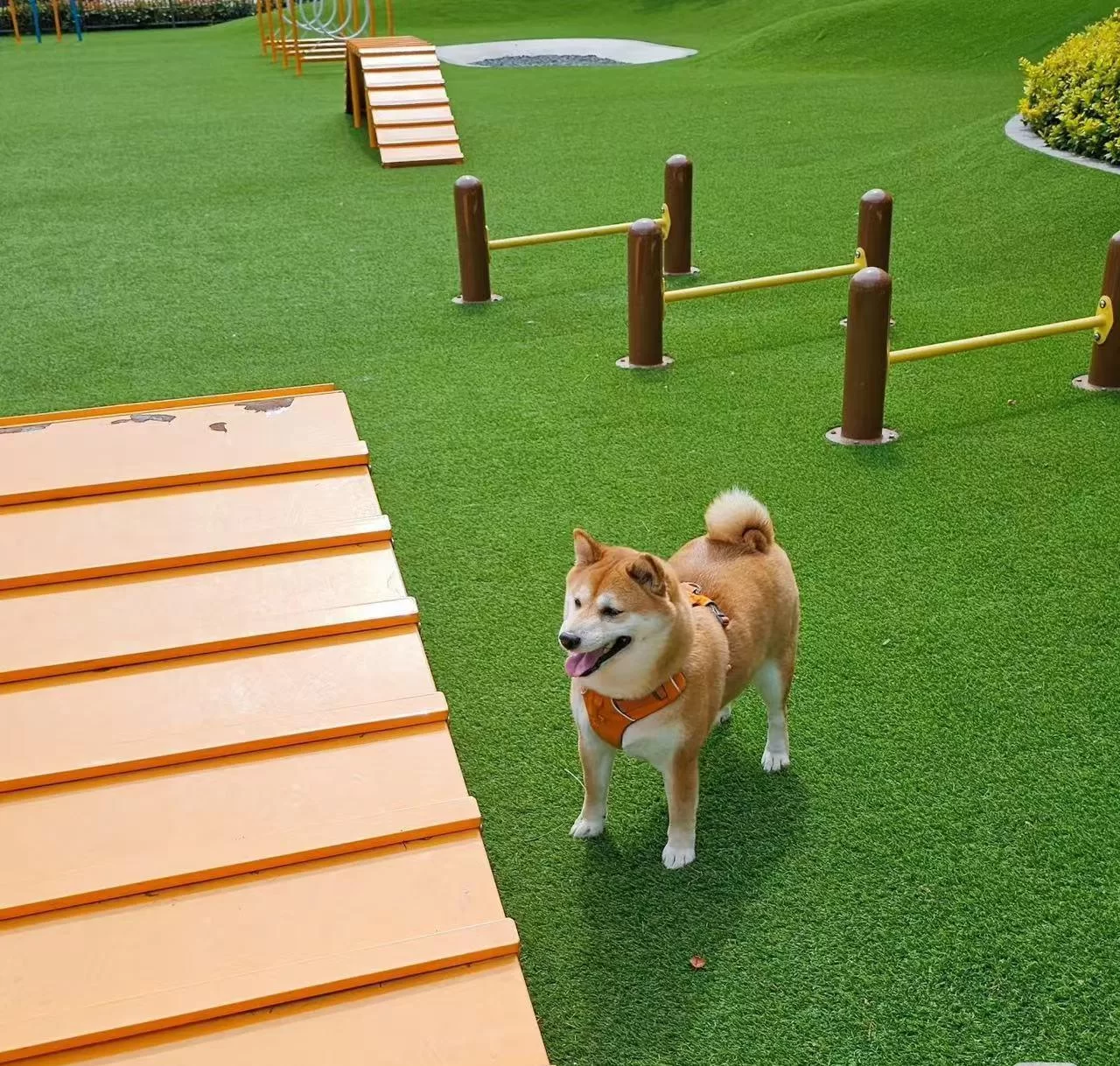 Tapis herbe