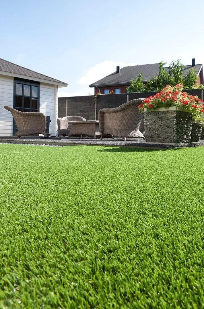 jardin herbe